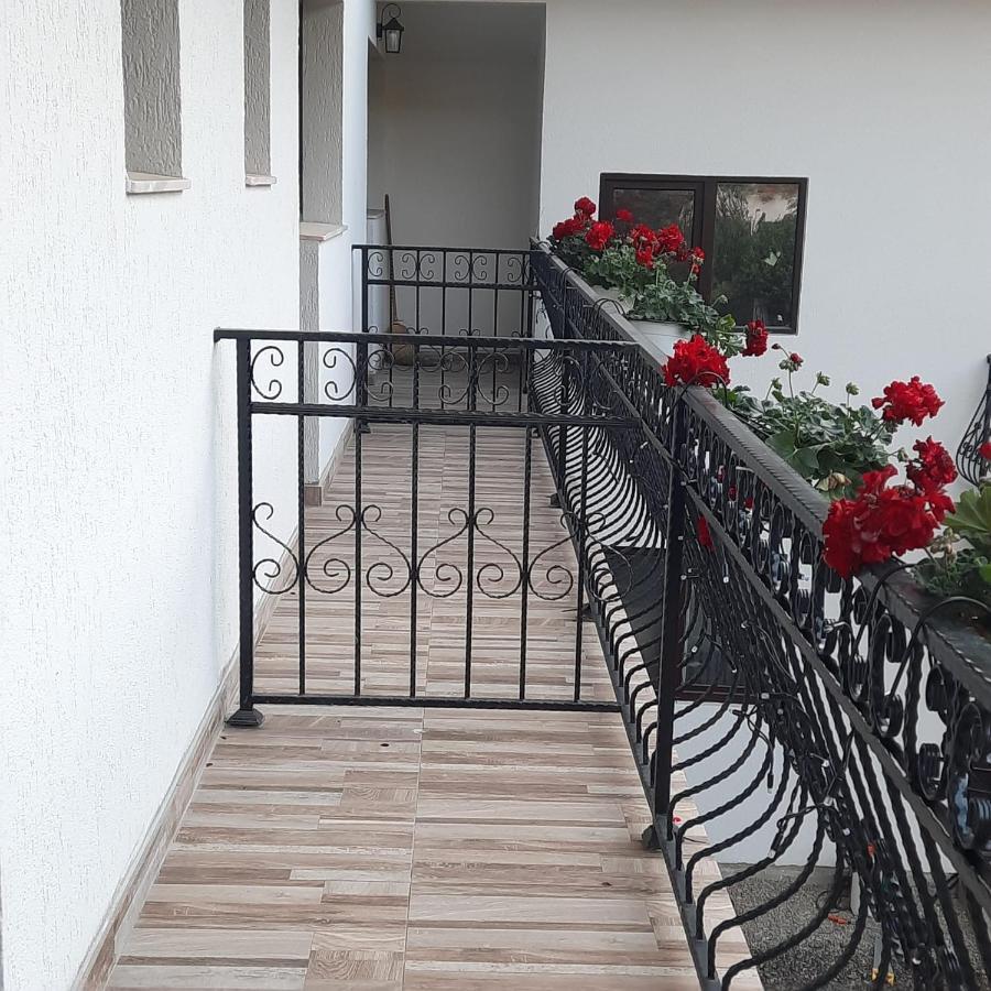 Casa Dana Olteanu Hotel Moeciu De Sus Ngoại thất bức ảnh